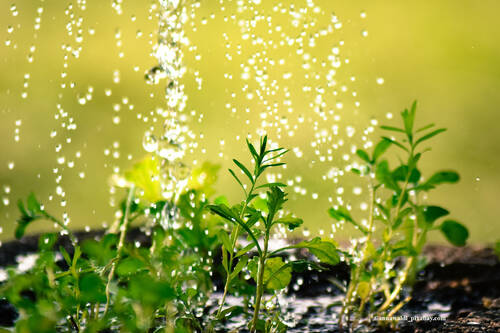 Drop of water 2342870 1920