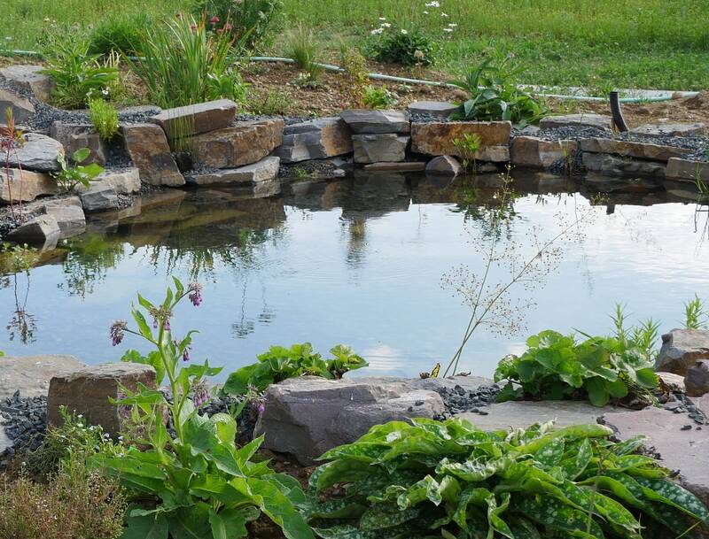 Oberer Teich mit Beinwell