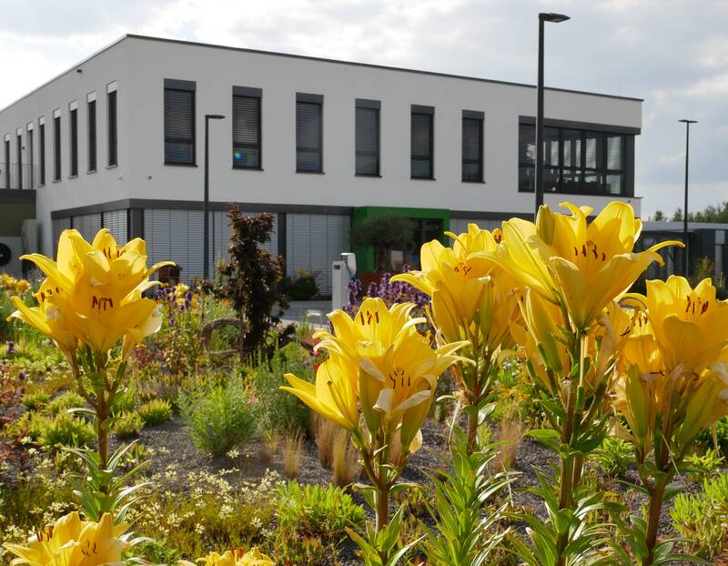 Steppenbeet am oberen Parkplatz