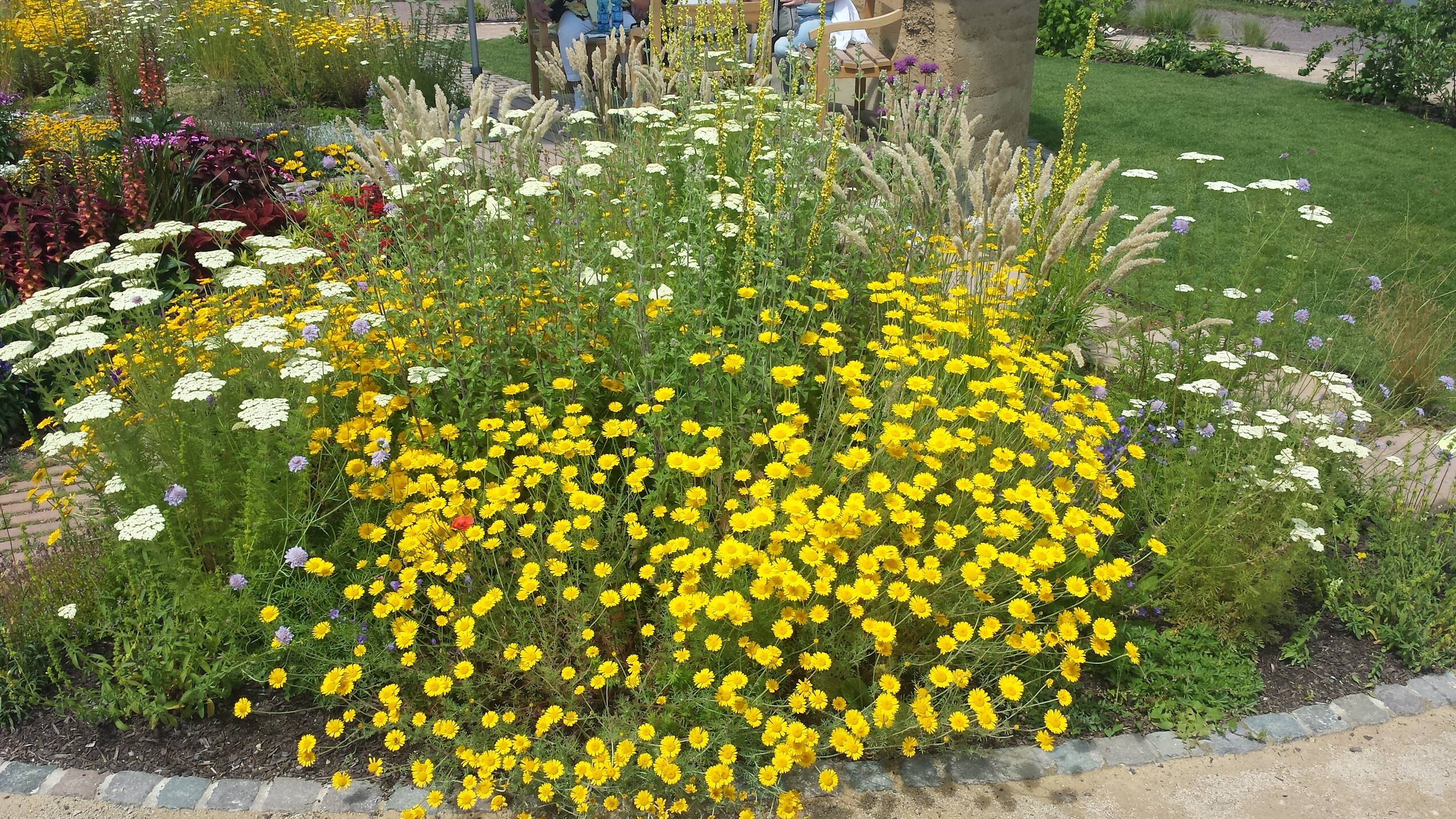 Gartenakademie RLP 1 qm Heimat 2