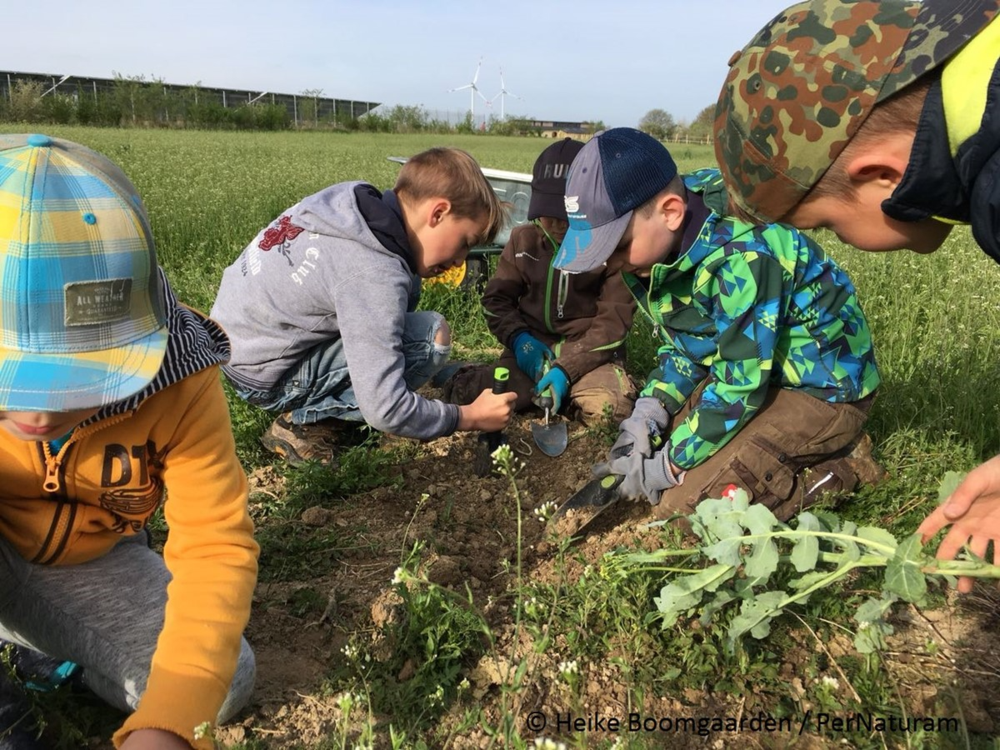 Gärtnern mit Kindern