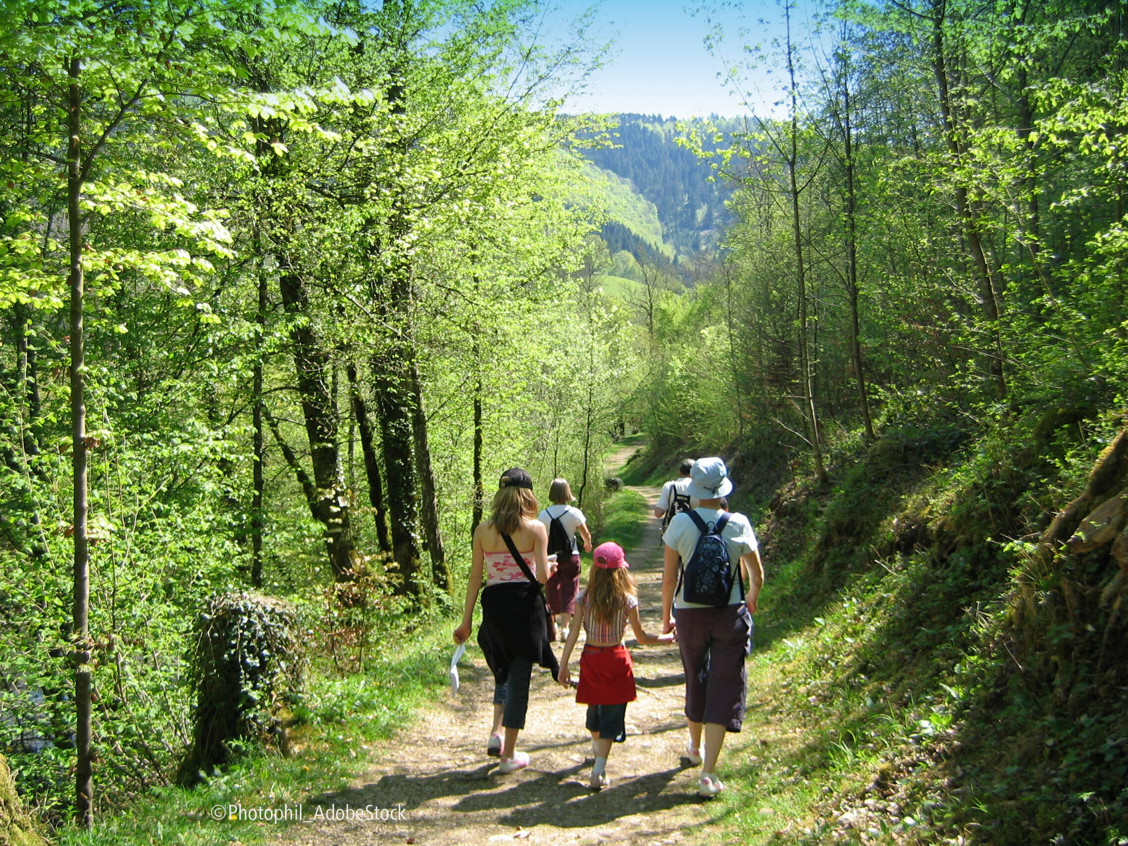 Kräuterspaziergang AdobeStock 13704037©Photophil