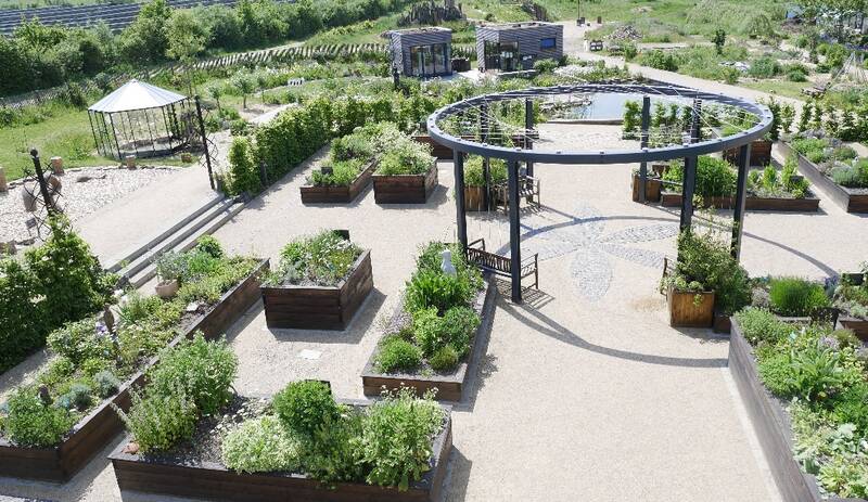 Blick auf den Hortus (Seminargarten)