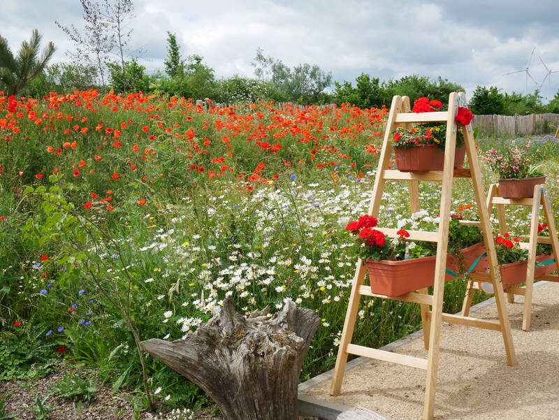 Blumenleiter im Eingangsbereich