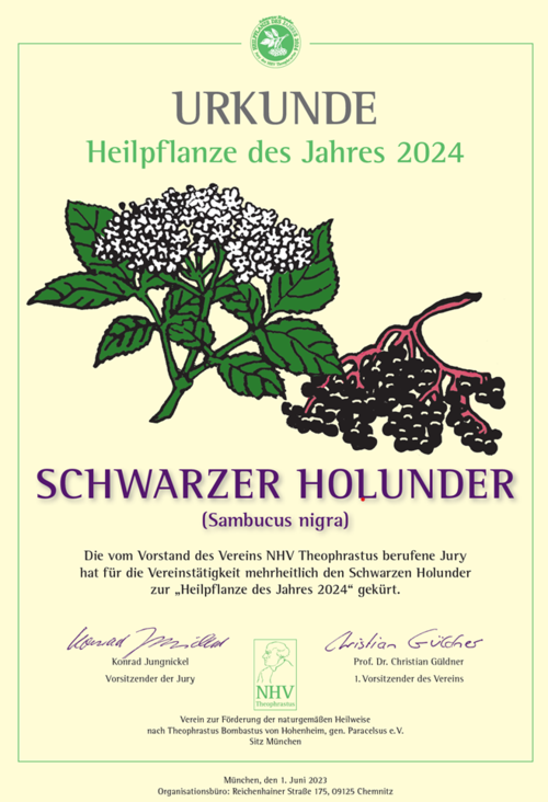 Holunder Urkunde HPdJ2024