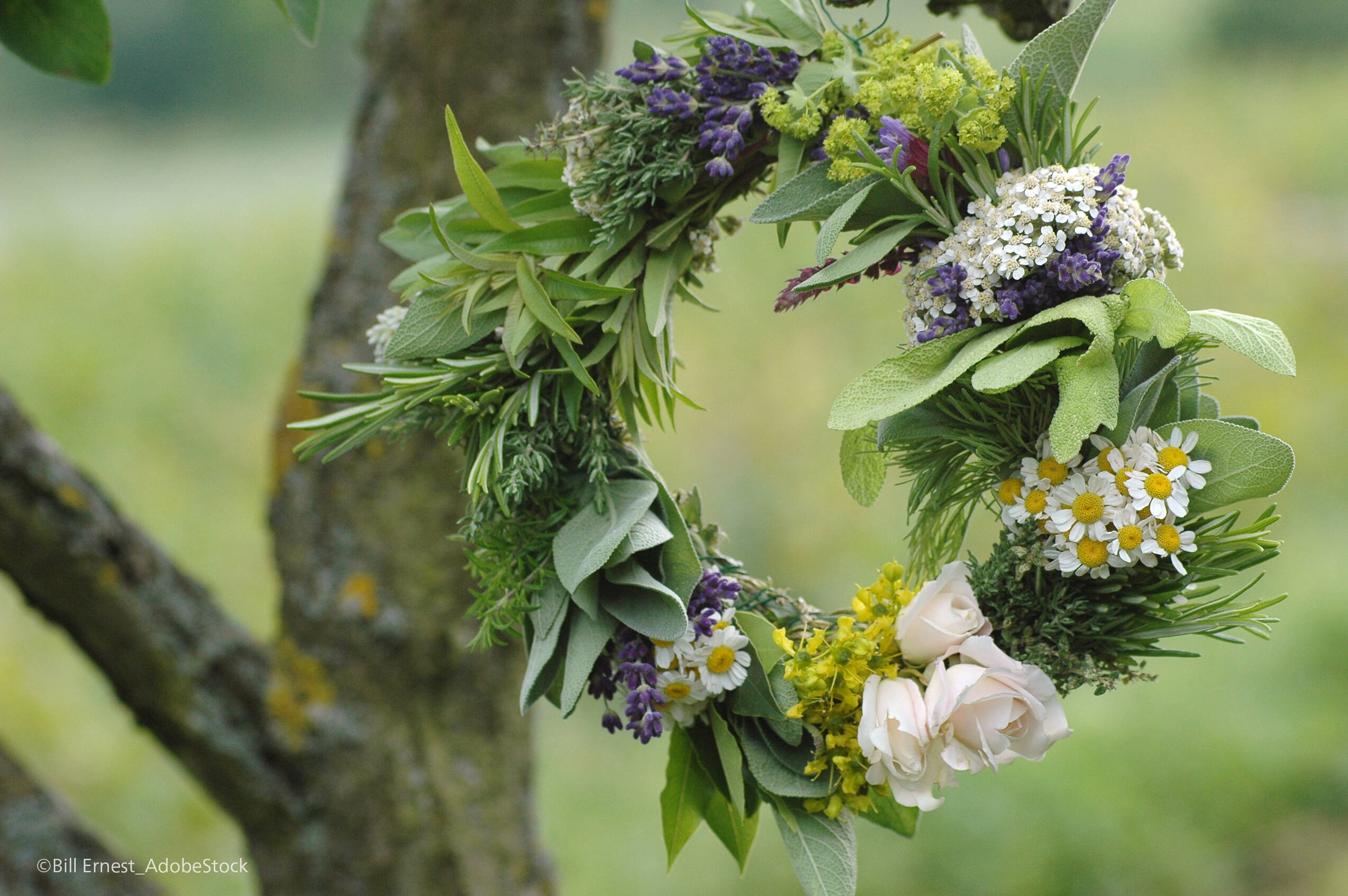 AdobeStock Duftkranz